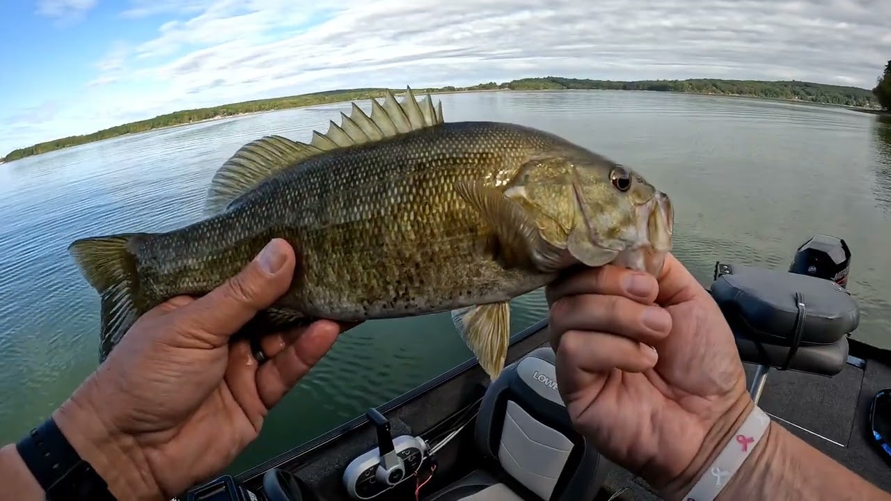 Fall buzzbait and spinnerbait bass fishing! (9/10/25)