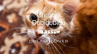 Christell - Dubidubidu (Chipi Chipi Chapa Chapa) - Lyrics