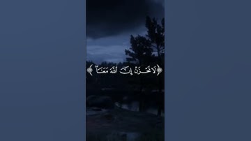 القرآن الكريم 💞 #اكسبلور #المصحف #لايك #الرحمن