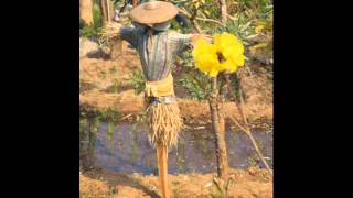 หุ่นไล่กา  สิริมา สุนทรรังษี