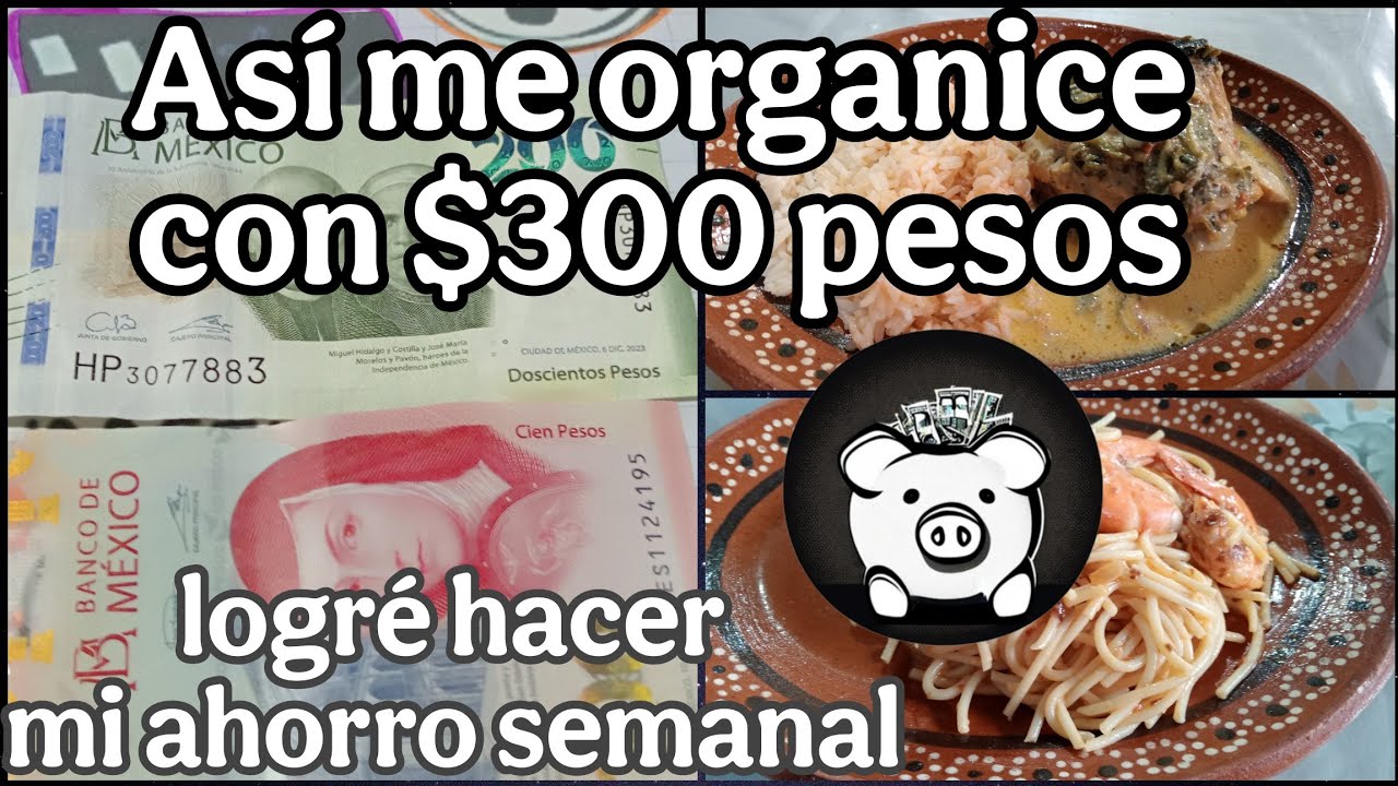 💵COMO ORGANICE MI PRESUPUESTO CON TAN SOLO $300 PESOS MX Y CUANTO LOGRE AHORRAR 💰