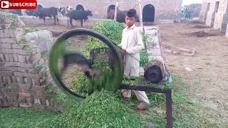 Indain toka machine  cutting janwar chara in village pakistan by Raja Vlog