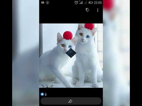 Isi Igoye By Pistol Verses Cover 