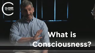 Neil Theise - What is Consciousness?