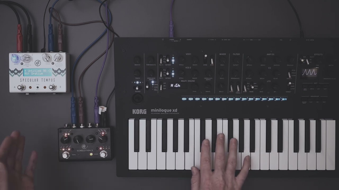 The Pigtronix Echolution 3 on a synth featuring the specular tempus as  well