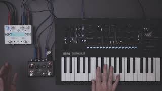 The Pigtronix Echolution 3 on a synth (featuring the specular tempus as well) Net Worth