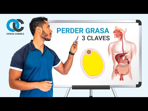  las 3 claves para perder grasa -  las 3 claves para perder grasa