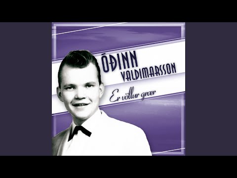Ég skemmti mér