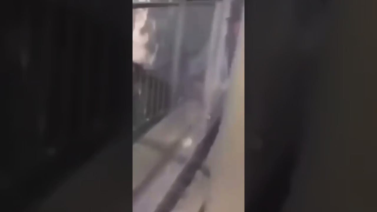 Рональдо мем сыыыыы мучас грациос официоль сыыыыы