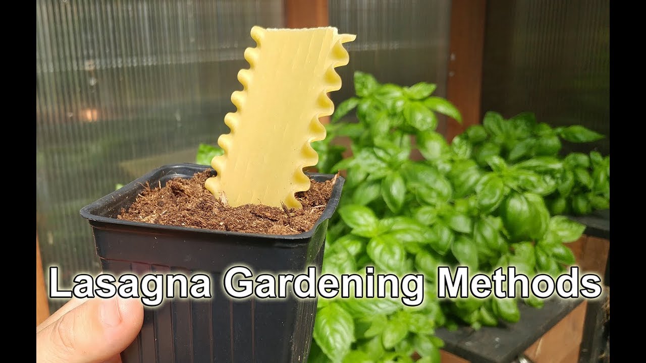 Lasagna Gardening How To On An Existing Veggie Bed YouTube