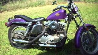 money pit 1977XLH 001
