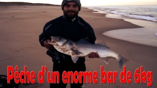 Pêche en mer d'un énorme Bar / Loup de 5 kilos au