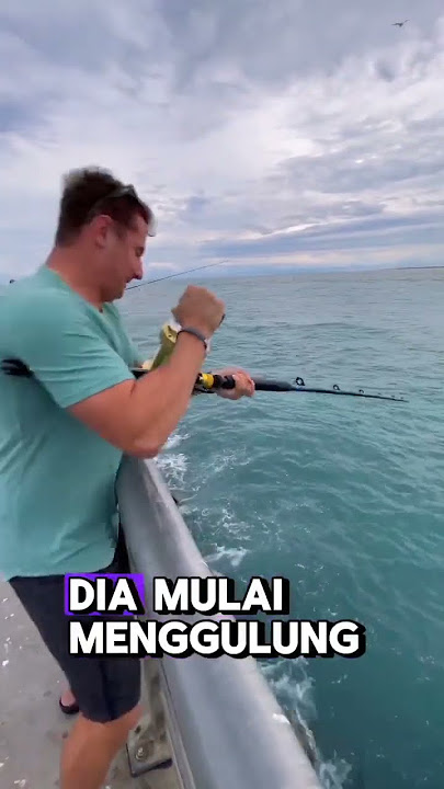 mancing ikan besar di pelabuhan