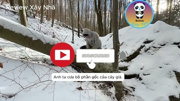 SINH TỒN MÙA ĐÔNG DỰNG NƠI ẨN NÁU DƯỚI GỐC CÂY ĐỔ TRONG RỪNG TUYẾT