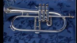 Video thumbnail of "King 650 Flugelhorn, music by Luca Calabrese & Pizza Trio"