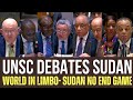 United Nations Security Council Meeting On Situation In Sudan!