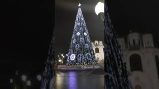 Ёлка на площади Победы в Калининграде 🤩