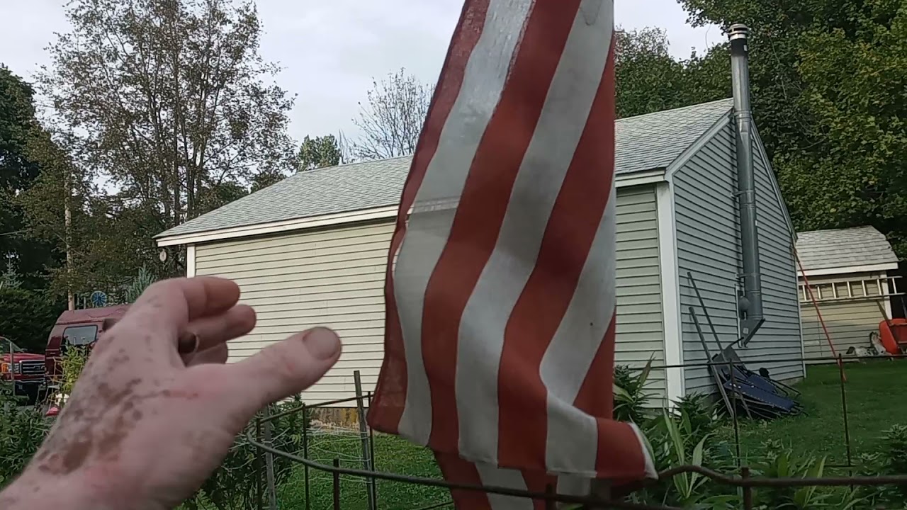 2021 Mass outdoor cannabis grow. Fat sticky buds! Harvest soon