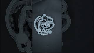 #3dprintingideas MARBLE RUN #3dprinting #fdm #timelapse #satisfying #beaglecam #3dprinted