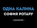 София Ротару Одна калина Караоке