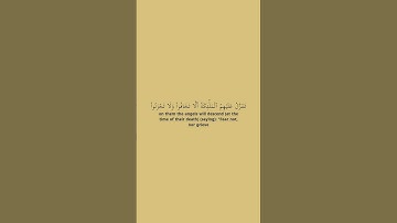 سورة فصلت الايتين (٣٠-٣١) | القارئ الشيخ ناصر القطامي