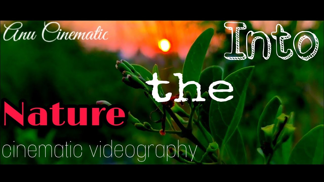 Into The Nature Cinematic Travel Cinematic Videography Youtube