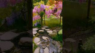 4K HDR Vertical Zen Garden Escape | Flowing Water & Wisteria in Seattle - Ep 3 screenshot 5