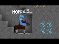 Minecraft UHC but EVERYONE is FORCED to be on a HORSE...