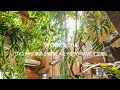 WORKS 004『ヴィンテージ家具と植物と木とテグラがつくりだす空間　東琵琶湖の家』　建築家 殿村明彦 / COLOR LABEL DESIGN OFFICE / ルームツアー・WEB見学会