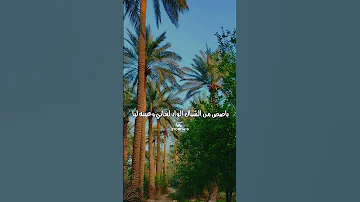 راكب العربيه ده حبيبي وعينه ليا اغاني الصعيد 