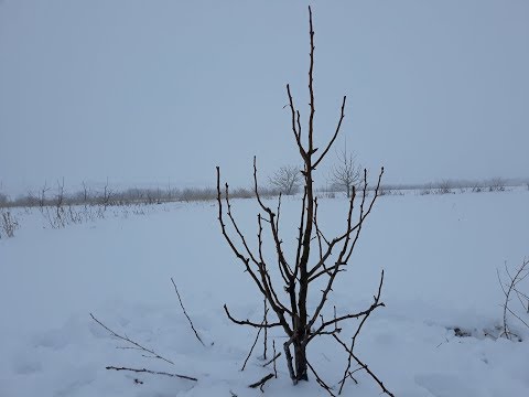 Video: 9 Neticami Atdzist Vietas LA, Par Kurām Jūs Vēl Nekad Neesat Dzirdējis