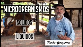 Preparación de Microorganismo del Bosque / Microorganismos Líquidos. Maestro Pacho Gangotena