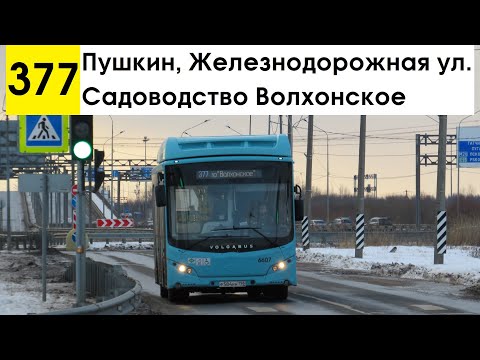 Автобус 377 "Садоводство "Волхонское" - Пушкин, Железнодорожная ул." (старая трасса)