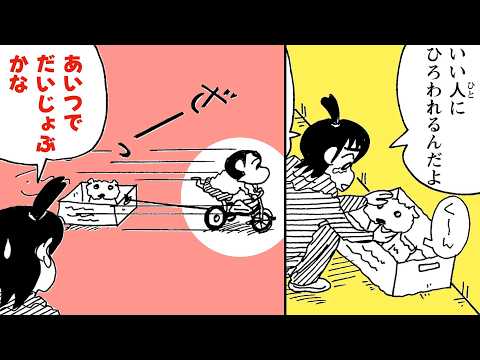 【漫画クレしん】シロの前の飼い主？しんのすけに拾われるまでのお話｜クレヨンしんちゃんねる『クレヨンしんちゃん』【公式】