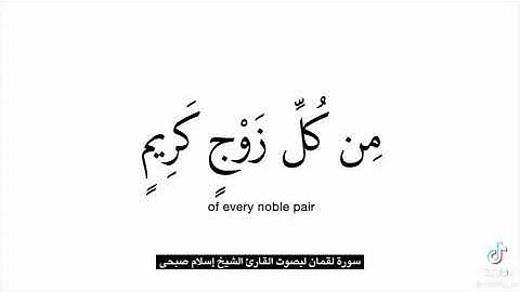 سوره لقمان من الايه (1 إلي 19)❤🌿