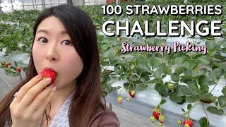 100 Strawberries Challenge in Japan 🍓When Strawberry Picking turned into a Mukbang 😂