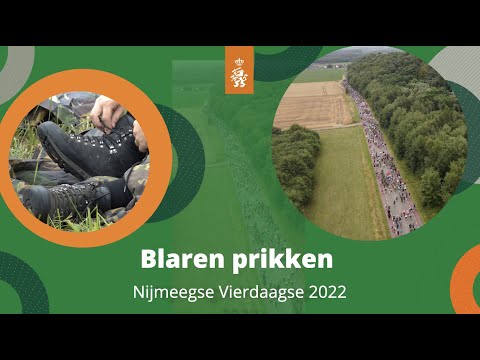 Blaren prikken langs de 7 Heuvelen Weg in Groesbeek tijdens de 4Daagse van Nijmegen