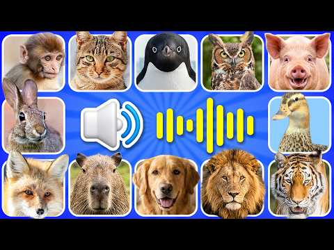 Guess the animal sounds learn animal noises Quiz Royale