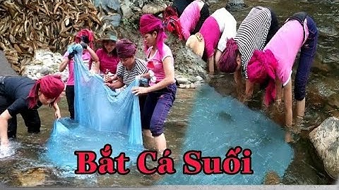 Bắt Cá Suối Bằng Cách Đuổi Cá Vào Màn | Óm Vú | Tây Bắc Bốn Mùa |