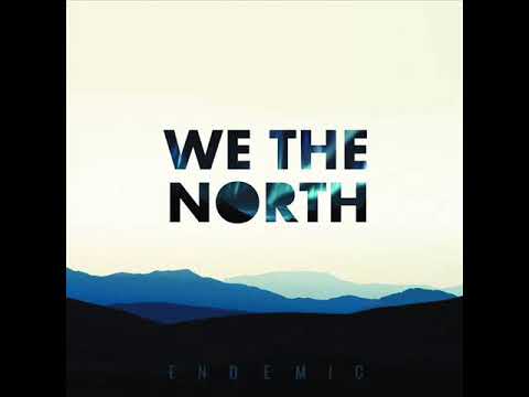 We The North — We The North - Understand Me (TourdeForce remix)
