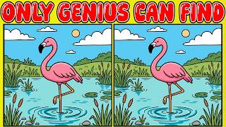 Only Genius Can Find All 3 Differences!! 💫 Elite Brain Exercise — Over 60 Brain Age Challenge