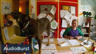6 Ways Classroom Pets Are Good For Kids