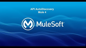 API AutoDiscovery