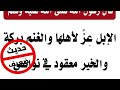 حديث ضعيف الإبل عز لأهلها والغنم بركة والخير معقود في نواصي الخيل 