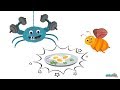 Health benefits of eggs - Ask Coley - Health Tips for Kids | Educational Videos by Mocomi