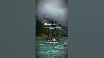 #ياسر_الدوسري #راحة_نفسية #الرحمن #love #muslimcontent #viral #quran#سورةالشعراء