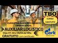 TBO AUXILIAR LOGÍSTICO  (TREINAMENTO BÁSICO OPERACIONAL P/ AUXILIAR LOGÍSTICO) - 08.04 AULA 02