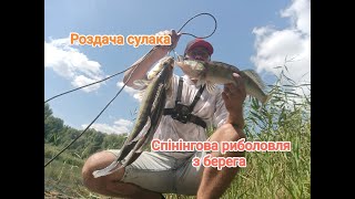 ЗНАЙШОВ КУЧУ СУДАКА. Подача приманки. Підбір силікона та ваги. Підібрати потрібну провудку джига.