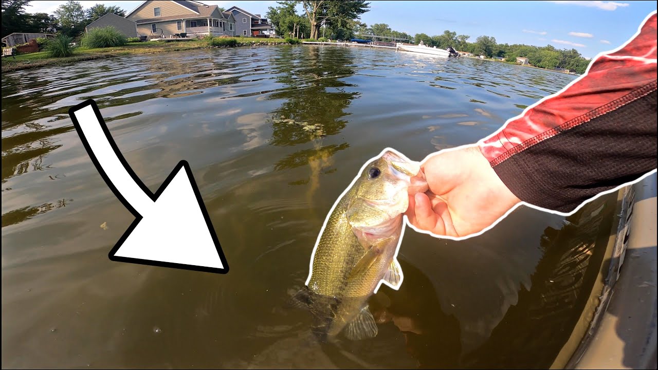 Afternoon on the Water Bass fishing Muddy Lake!