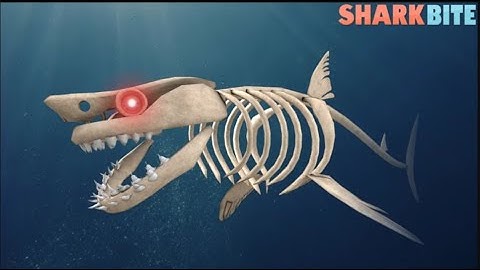 [file.video] SharkBite Classic 🦈 | By Abracadabra | I DIDN